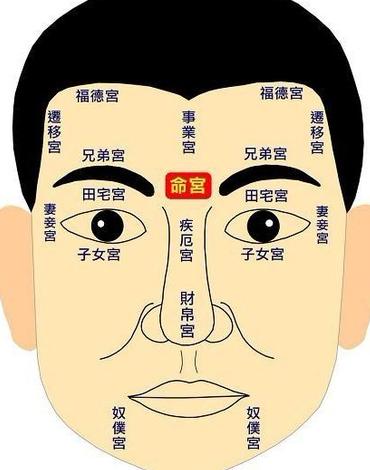 面相十二宮圖解:面部區域分布圖