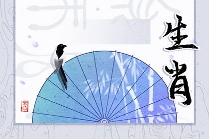 屬虎男一見鍾情的生肖女 生肖兔 生肖牛 生肖龍