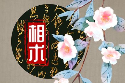 眉毛在面相中代表什麼 眉毛怎樣看面相