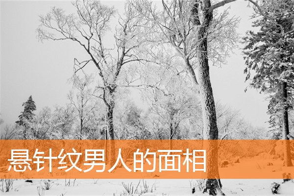 懸針紋男人的面相