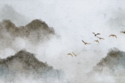 屬兔的男寶寶好不好 有貴人幫助則衣祿不盡