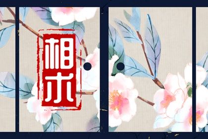肚子上有痣代表什麼 肚子不同部位痣解析