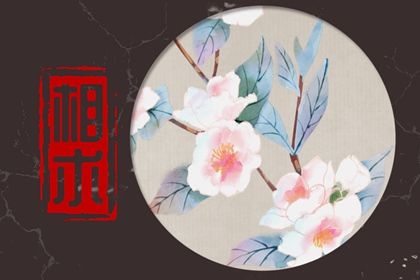 桃花痣和淚痣的區別 了解淚痣的浪漫傳說