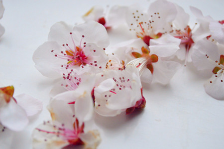 子女宮與桃花運