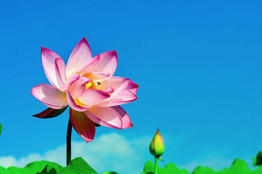 2019年3月10號出生的豬寶寶命好不好，是什麼性格