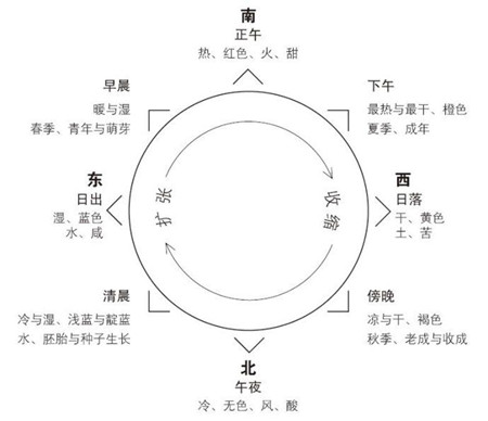 紫微斗數排盤法步驟—命盤圖繪製