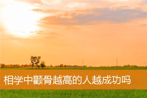 相學中顴骨越高的人越成功嗎