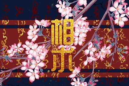 金魚眼面相 如何解析金魚眼的命運