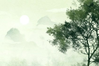 學霸出生的時辰 時來運轉好運連連財運亨通