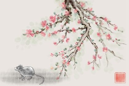 經常出軌的三個生肖女 屬鼠女不專一