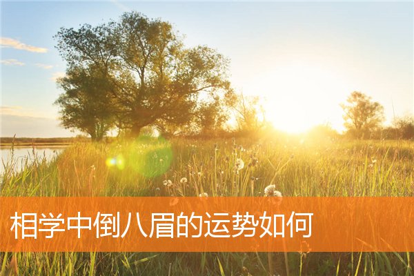 相學中倒八眉的運勢如何
