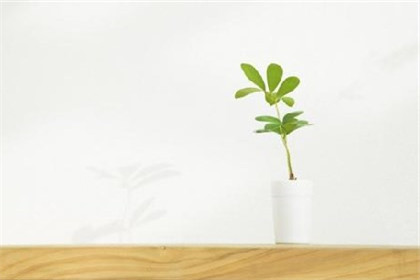 痣相後天痣是怎麼形成的 對我們有什麼影響