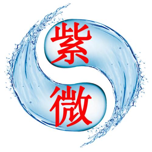 紫微命盤解析——身宮所寄宮位解讀