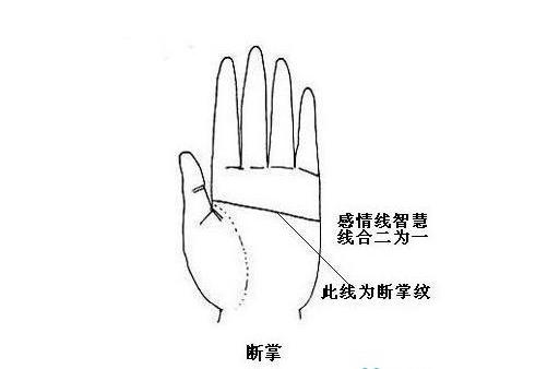 手相斷掌是什麼意思 男人女人意義不同