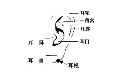 男人耳朵上長痣代表什麼 不同位置面相是怎樣的