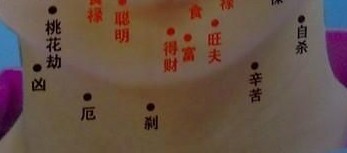 脖子上長痣好不好?脖子後面長痣好嗎
