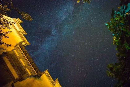 紫微星曜的外貌 分析天相星的外貌特徵