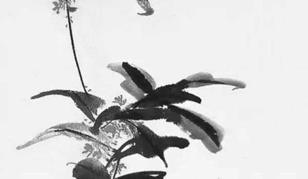 1983癸亥年屬豬五行屬什麼缺什麼,大海水命和什麼命相剋