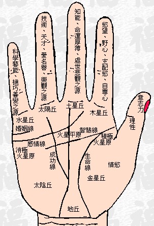 如何看手相？手相算命圖解-看手相算命圖解