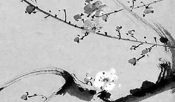 1962壬寅年屬虎五行屬什麼缺什麼,金箔金男女命晚年如何