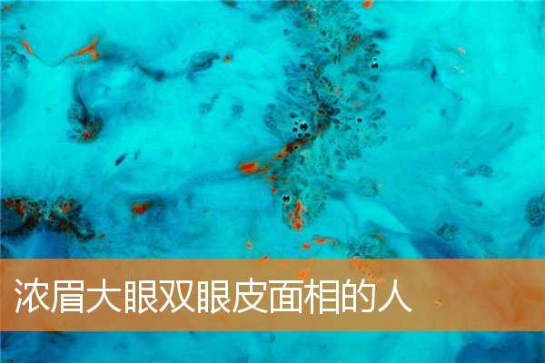 濃眉大眼雙眼皮面相的人
