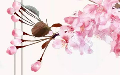 桃花的寓意和象徵風水 正西方位置易遇桃花