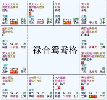 紫微斗數富貴格局——祿合鴛鴦格