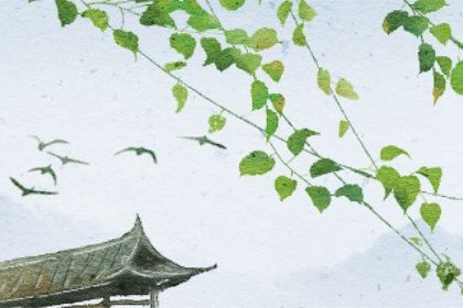 2022年4月27日寶寶出生的生辰八字 中等坐庫通根身強則剛毅