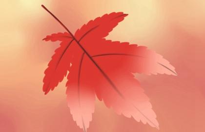 清明節忌諱穿什麼顏色的衣服 大紅大紫為大不敬
