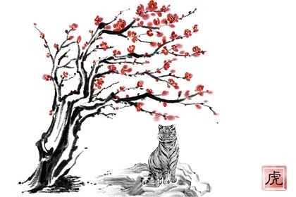 屬虎命最好農歷月份 二月出生的屬虎人才華驚人