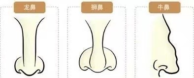 14種鼻型圖解 最全鼻子看相解讀命運