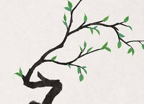 女人左手手相圖解大全詳解 有斷掌之相寓意是什麼