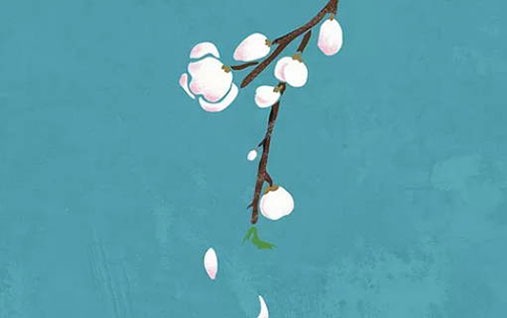 招姻緣的最好吉祥物 成雙配對象徵美滿