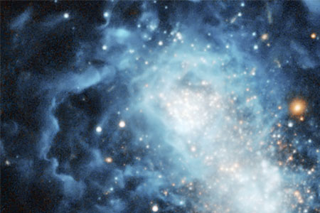 紫微斗數——天相星