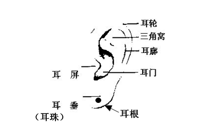 男人耳朵上長痣代表什麼 不同位置面相是怎樣的