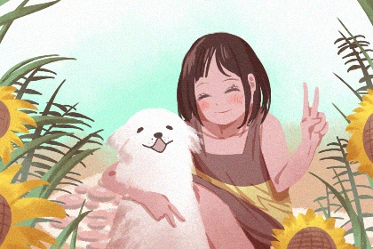 貪狼星入男女宮的人桃花運如何