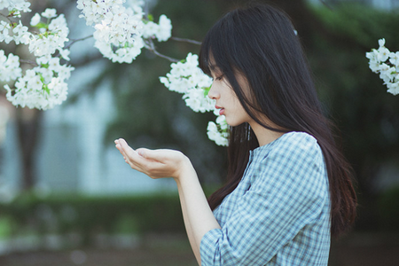 紫薇分析「桃花」為何讓人魂牽夢繞
