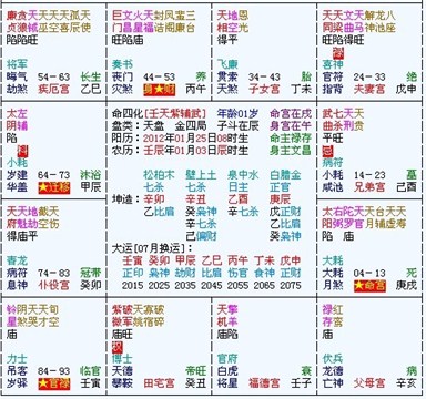 紫微斗數淺析李念之女的命格