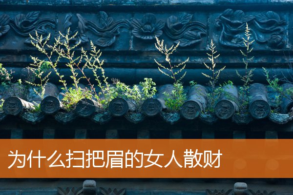 為什麼掃把眉的女人散財