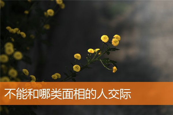 不能和哪類面相的人交際