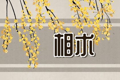 女人中年後轉好運的手相 手掌厚實粗糙