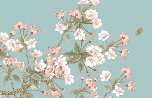 女人命帶桃花好不好 命帶桃花多異性緣