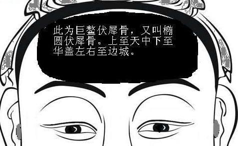 有伏羲骨的女人面相解讀