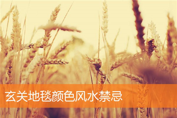 玄關地毯顏色風水禁忌