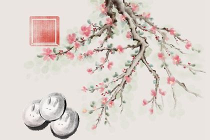 2023年是金兔還是水兔 有什麼說法