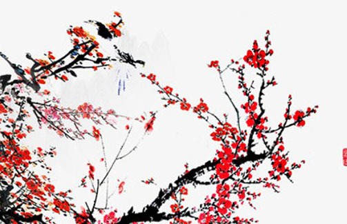 女人4個斗代表什麼 多才多藝耐力非凡