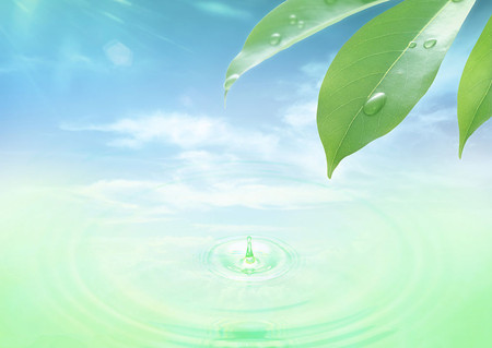生年化科星及在十二宮的解義
