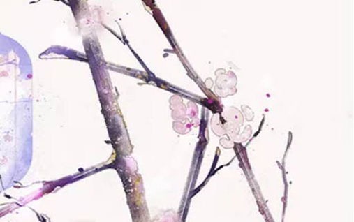 房間放什麼花招桃花運 牡丹標志愛情之花