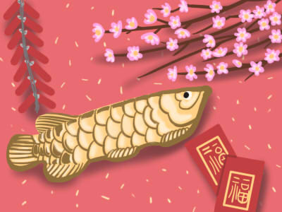 貪狼星化忌具體是什麼意思