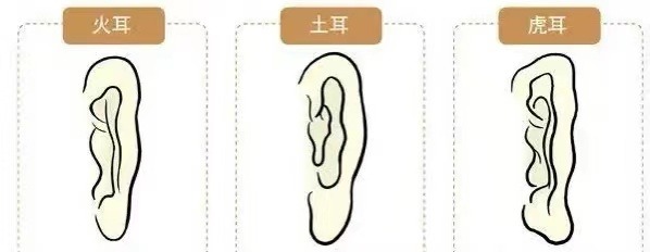 耳相16種圖解 各種耳朵形狀看富貴命運